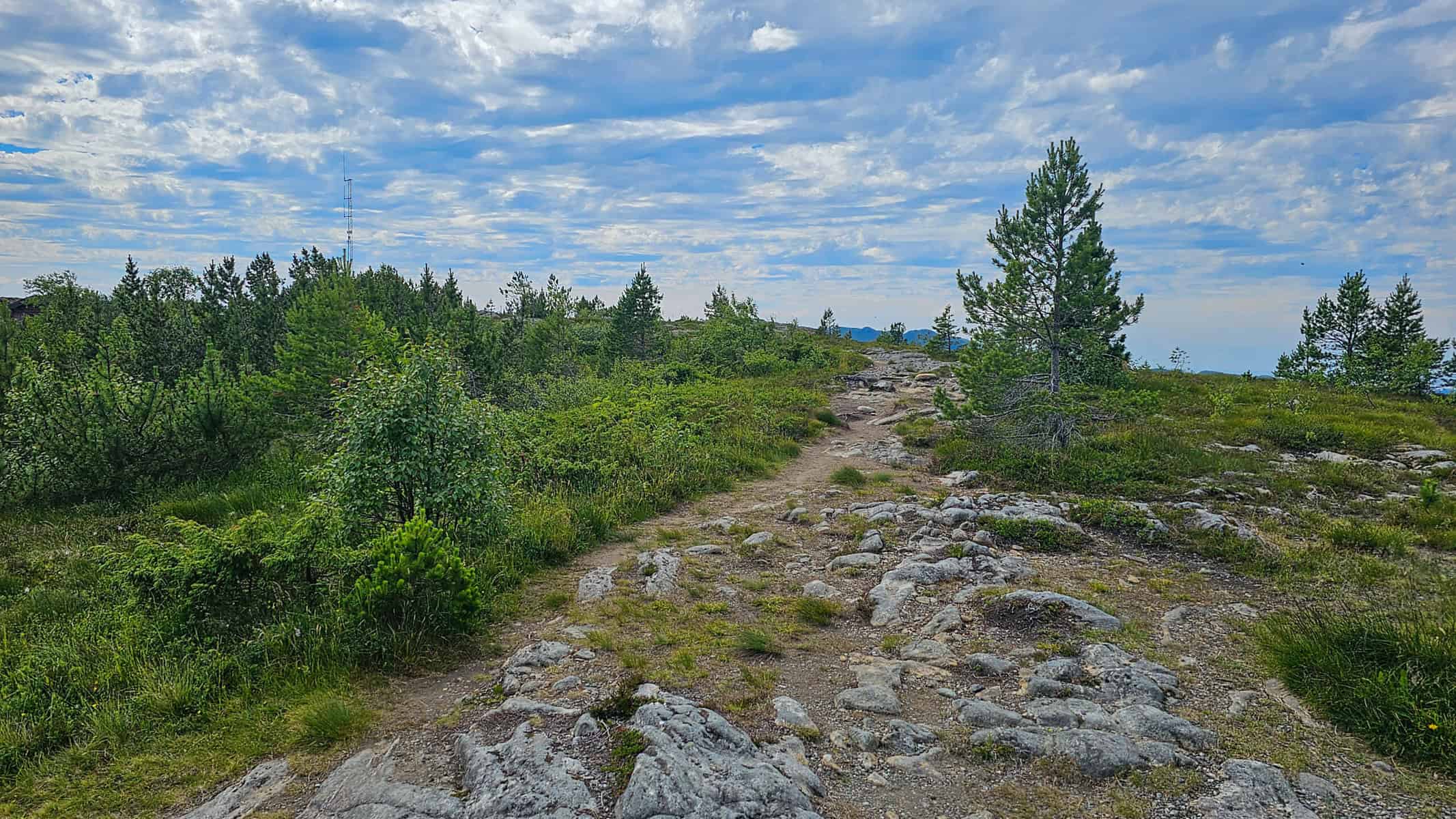 Molde Wanderroute auf den Hausberg Varden