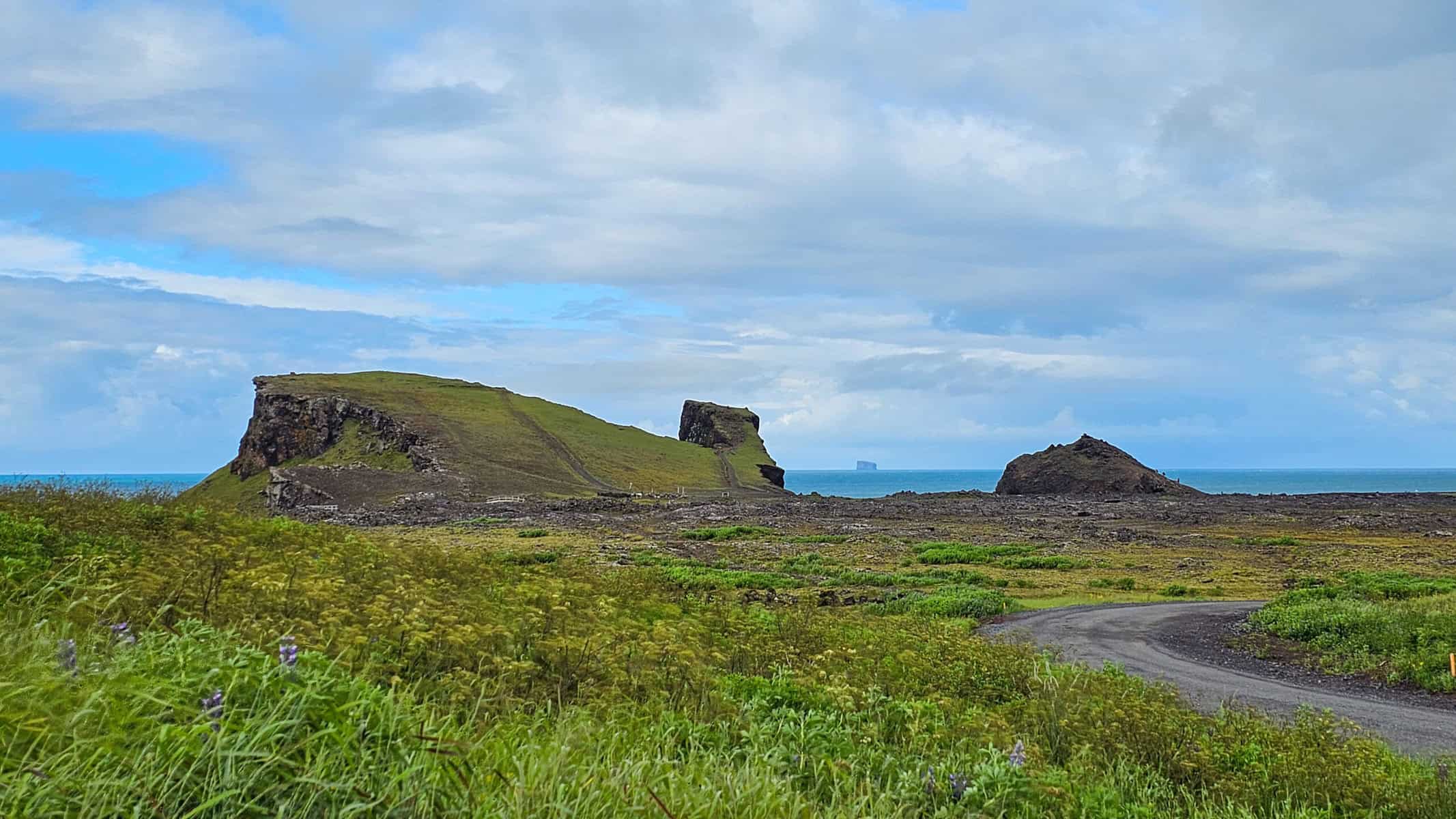 Vogelfelsen von Reykjanestá: Naturwunder Islands